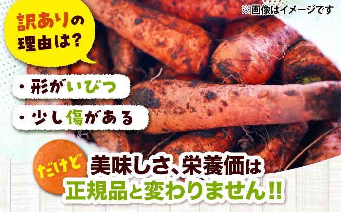 にんじん ニンジン 野菜 β-カロテン 食物繊維 抗酸化作用 栄養満点 熊本県産 菊陽町 