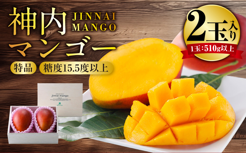 神内マンゴー 特品 510g以上 2玉入り 