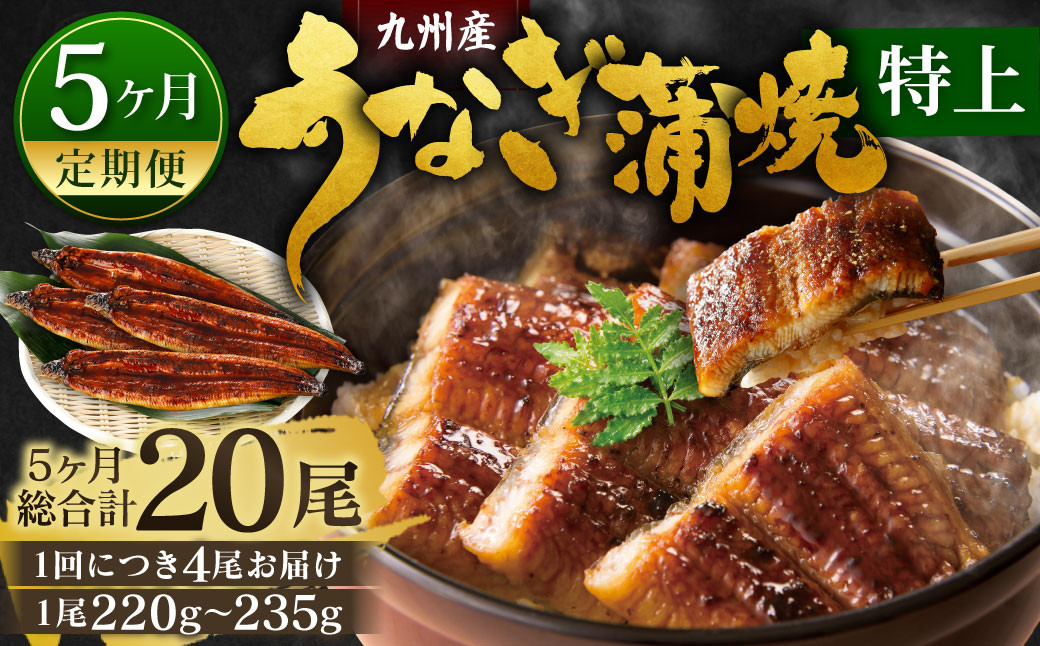 【5ヶ月定期便】九州産 うなぎ蒲焼 特上 4尾 (1尾あたり220~235g)  合計20尾