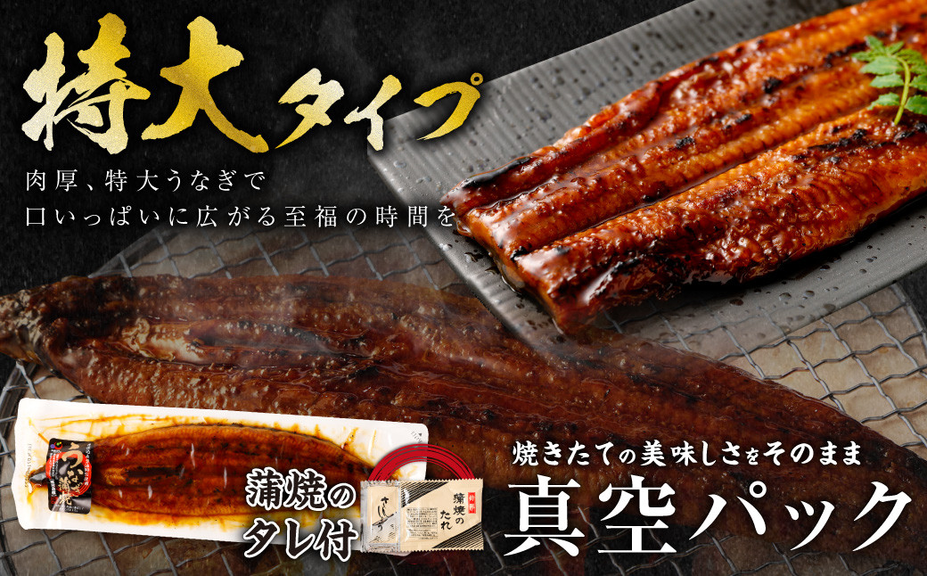 【数量限定!】鹿児島県産 特大サイズ うなぎ蒲焼 3尾 合計558g以上