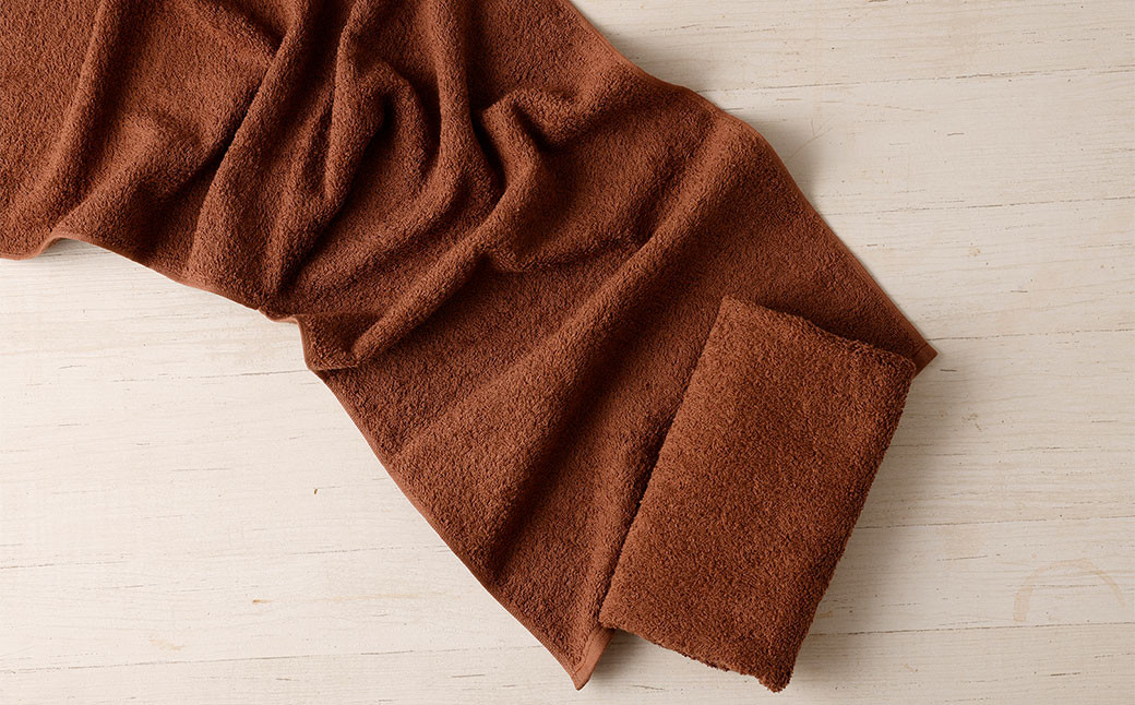 ＜選べるカラー＞ 泉州タオル ホテルスタイル タオルセット ｜ フェイスタオル 10枚 （モカ）