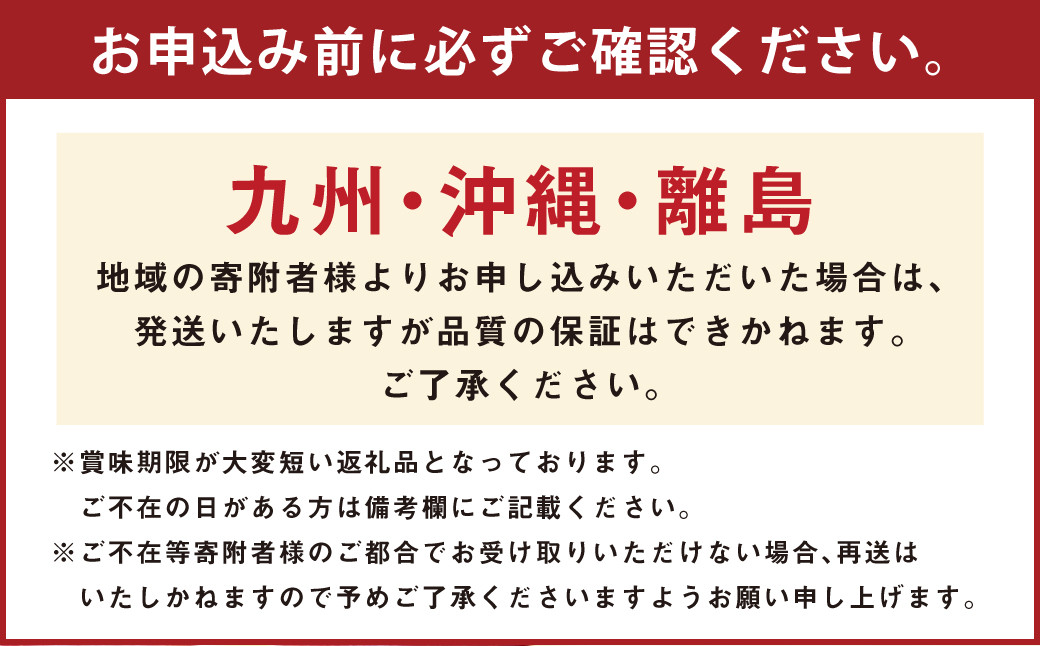 神内マンゴー 特品 510g以上 2玉入り 