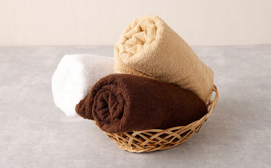 ＜選べるカラー＞ 泉州タオル 幅60cm 厚手 ふわふわ バスタオル 2枚入り 800匁