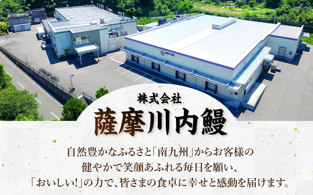【数量限定!】鹿児島県産 特大サイズ うなぎ蒲焼 3尾 合計558g以上