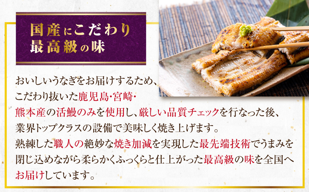【数量限定!】鹿児島県産 特大サイズ うなぎ蒲焼 3尾 合計558g以上