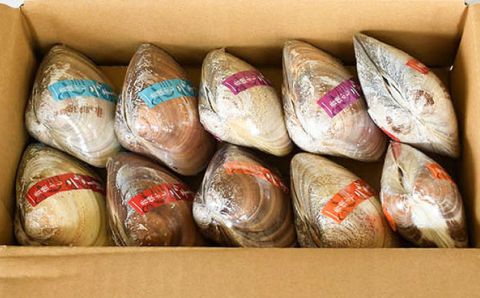 駄菓子 だがし お菓子 おやつ 昔ながら 昔懐かし なつかし なつ菓子 