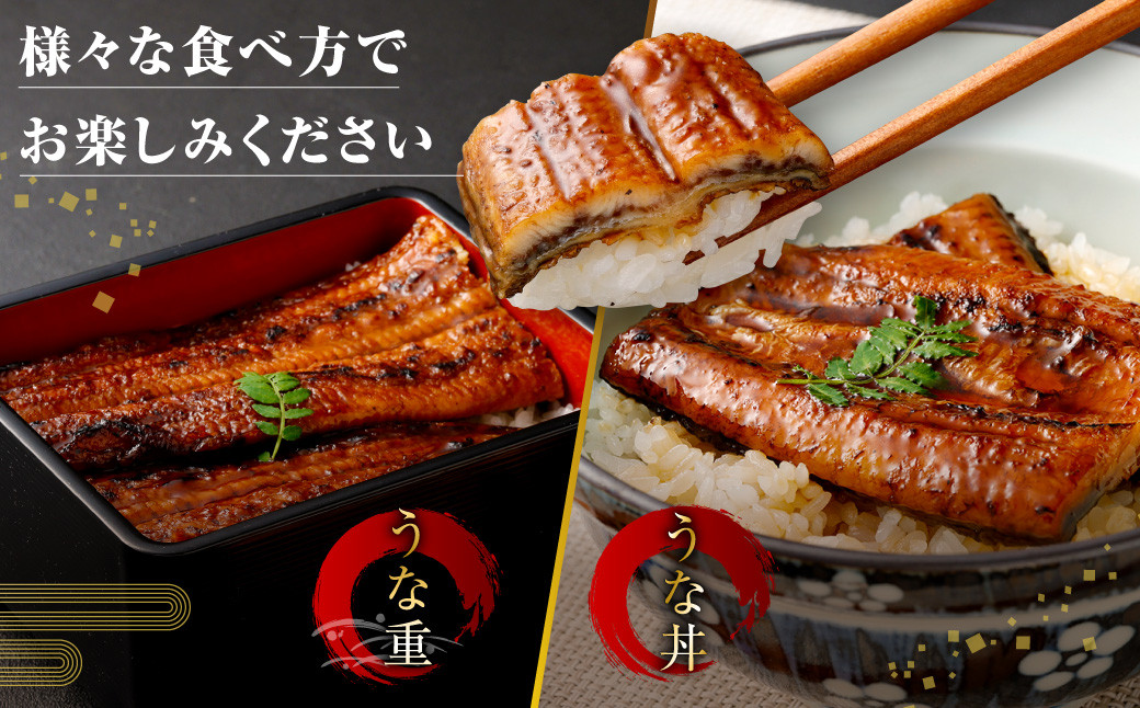 ASR-2023 鹿児島県産うなぎ蒲焼カット 3人前 約225g(約75g×3袋)