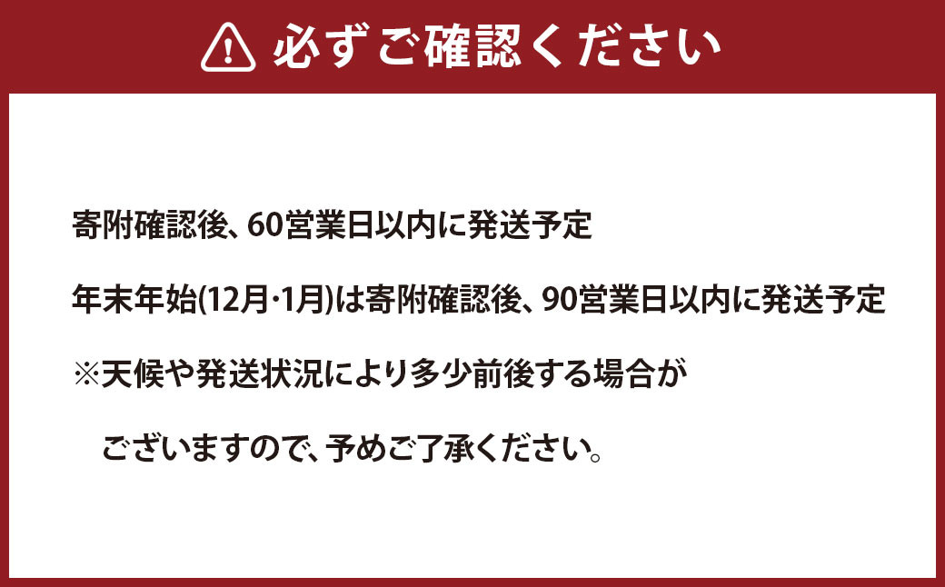 ＜選べるカラー＞ 泉州タオル 幅60cm 厚手 ふわふわ バスタオル 5枚入り 800匁