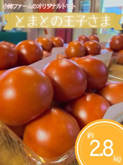 小鈴ファームのオリジナルトマト 約2.8kg