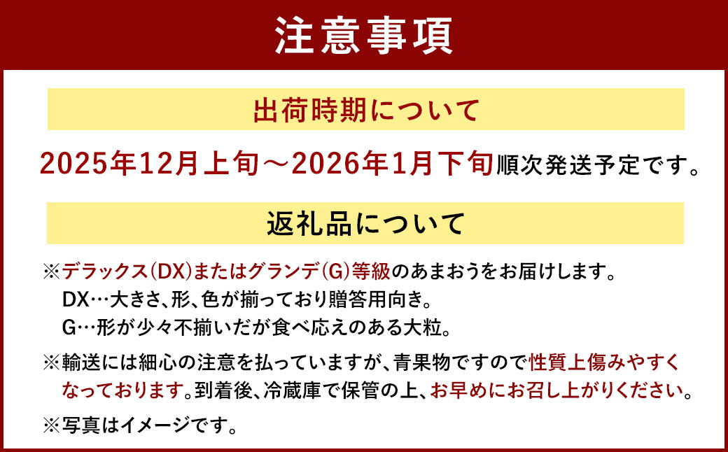 福岡産【冬】 あまおう 2パック いちご 苺 果物 フルーツ 福岡 太宰府