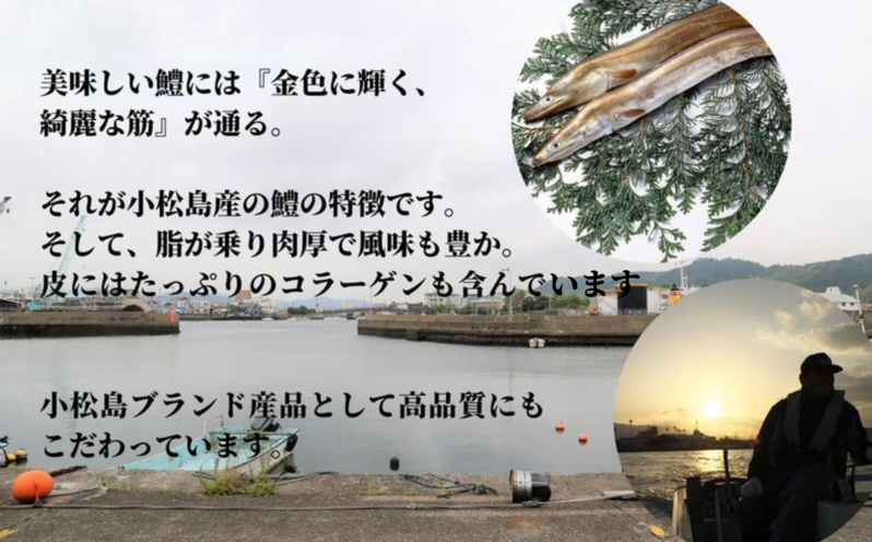 （調理例）ハモの天ぷら