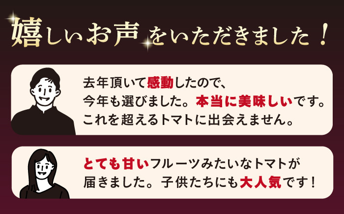 トマト とまと フルーツトマト 訳あり