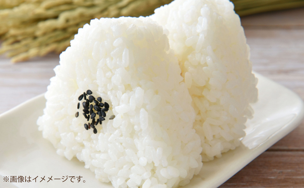 【令和7年産】島育ち、甑島産・あきほなみ 白米 5㎏ × 1袋 