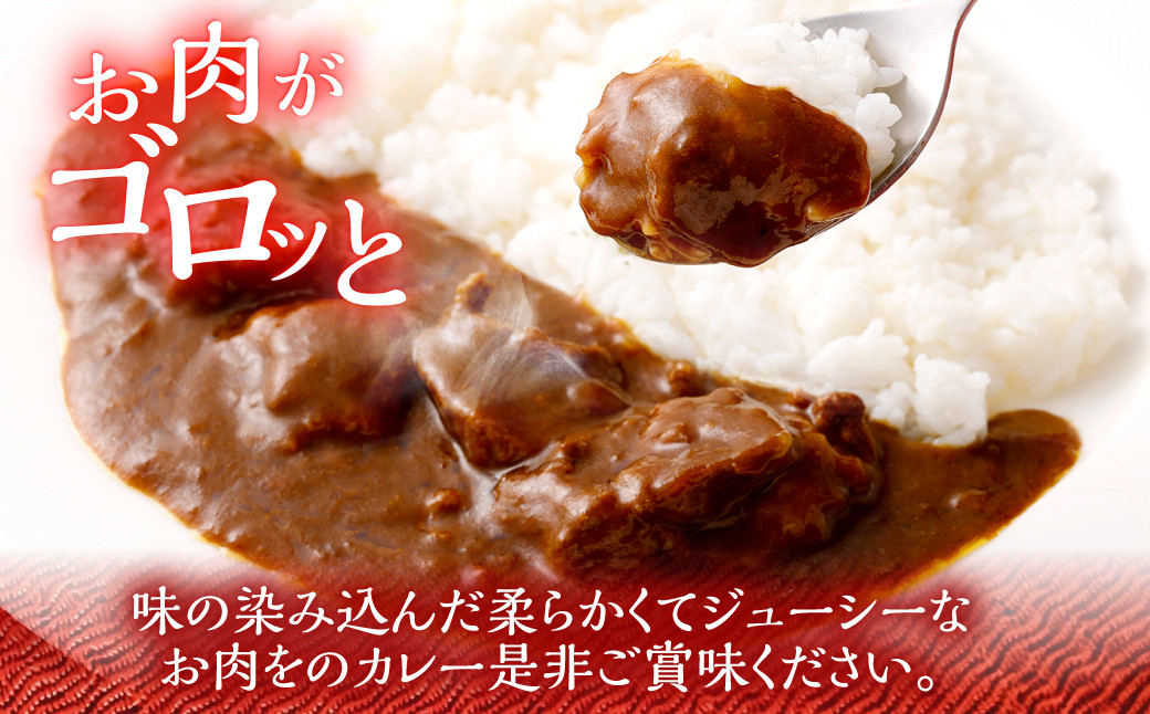北さつま 髙﨑牛 ビーフカレー 220g×1袋(中辛)