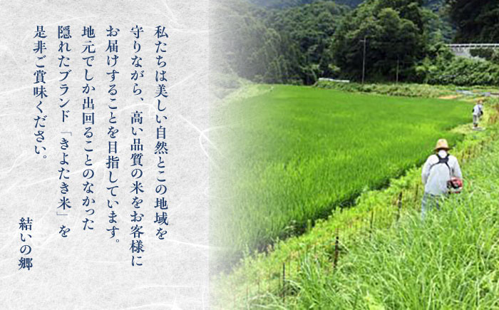 白米 きぬむすめ 小分け 便利 ごはん お弁当 お取り寄せ 一人暮らし おいしい