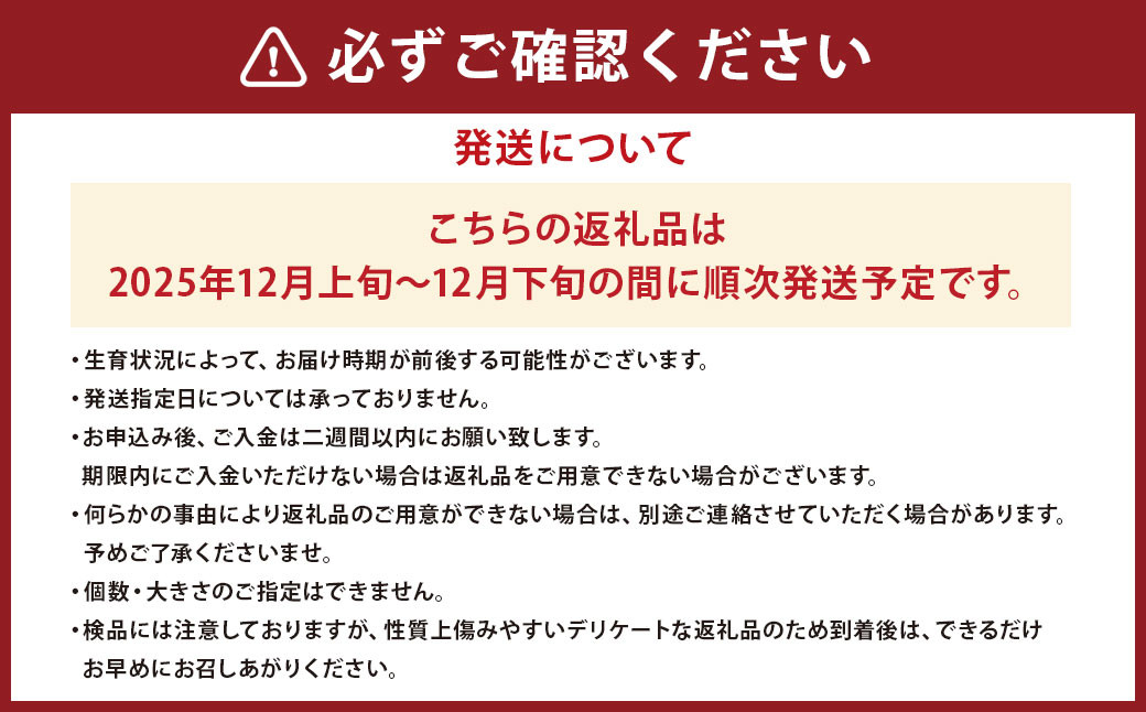 山形県産 りんご ふじ 約3kg 秀品