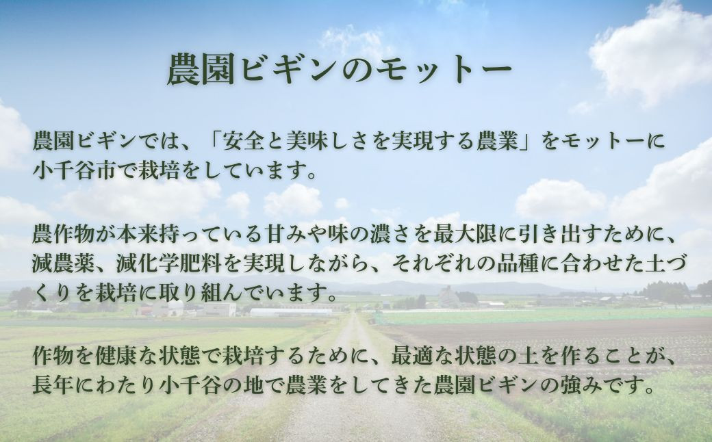 甘さ際立つ、シャリッと瑞々しい。小千谷産大玉スイカ