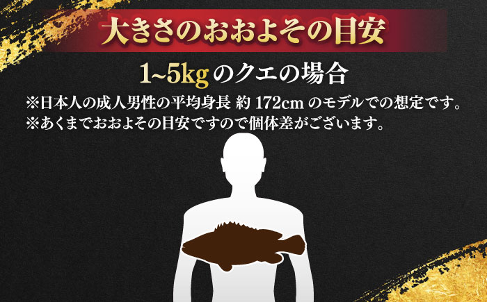 おすすめ オススメ こだわり ギフト 人気 特産品 贈り物 ギフト くえ クエ 