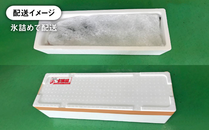 人気  おすすめ オススメ 天然ぶり 天然ブリ 天然鰤 しゃぶしゃぶ ぶりしゃぶ