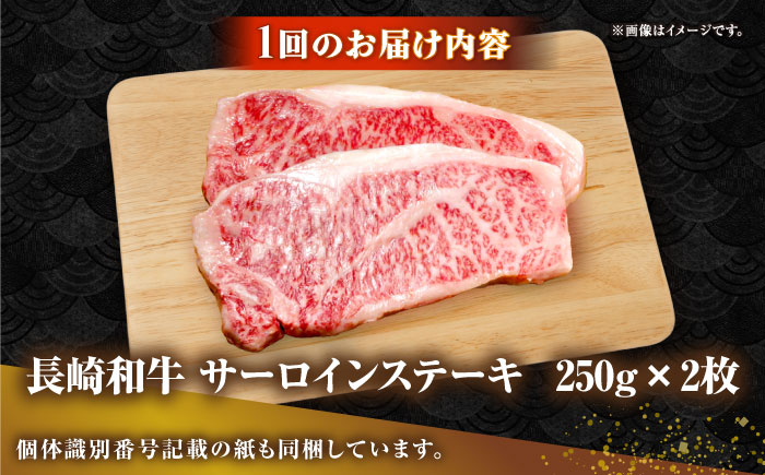 ステーキ 人気 和牛  長崎和牛 希少 柔らかい やわらかい 贈り物 ギフト