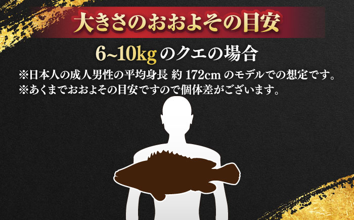 おすすめ オススメ こだわり ギフト 人気 特産品 贈り物 ギフト くえ クエ 