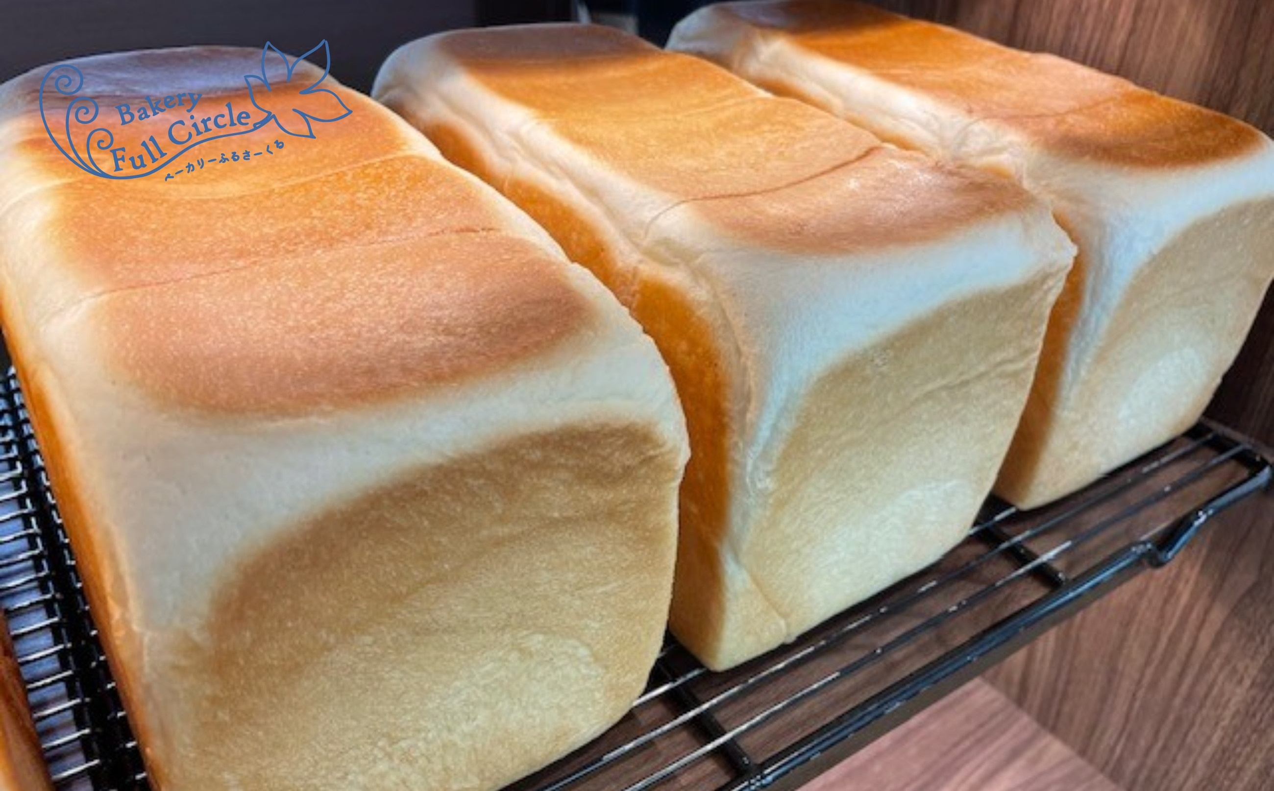 Circle食パン