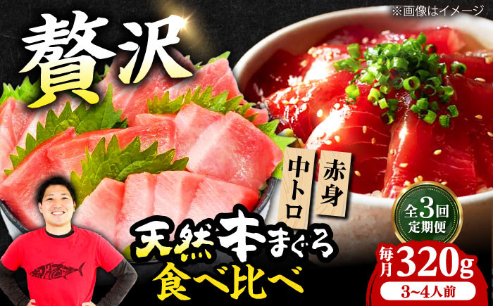 まぐろ マグロ 鮪 赤身 刺身 マグロ 鮪 赤身 トロ とろ 刺身 小分け 柵 冷凍 海鮮 新鮮 手巻き寿司 海鮮丼 パーティー