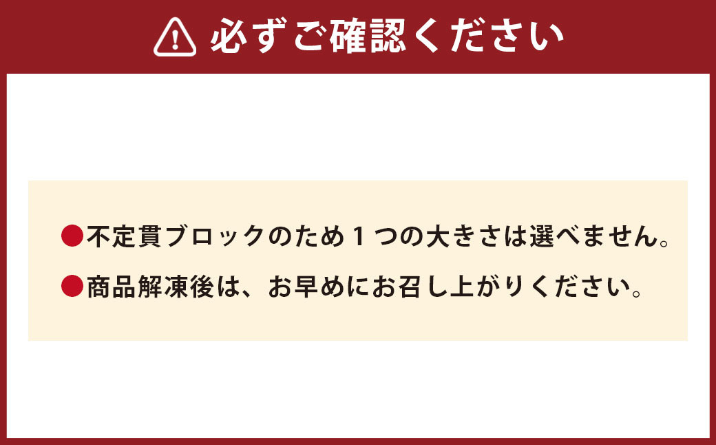 【フジチク】国産 馬刺し 赤身 計約600g