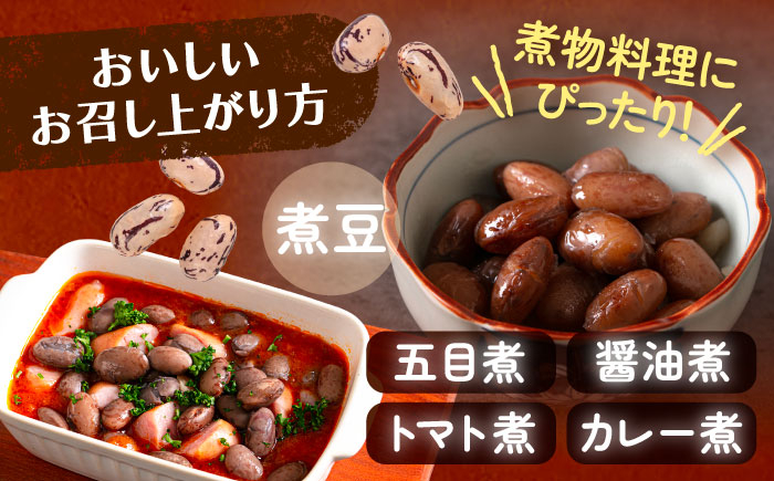 中長鶉 中長うずら豆 うずら豆 インゲン豆 豆 マメ まめ 大粒 足寄町 北海道