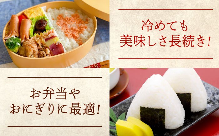 福山市産 新米 10kg にこまる