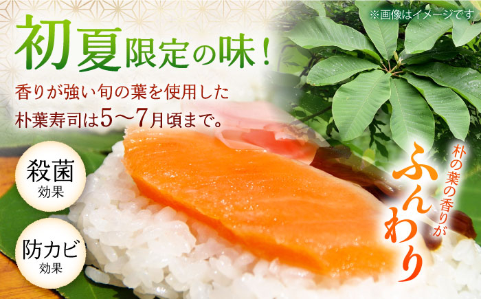 岐阜県 伝統食 スシ ほおば ご飯 惣菜 お祝い ふるさと納税 朴葉寿司 岐阜県 白川町 郷土料理 寿司 押し寿司 朴葉寿司