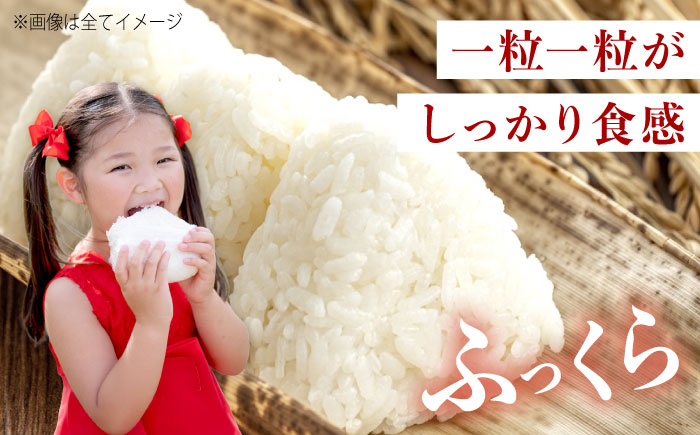 福山市産 新米 10kg にこまる