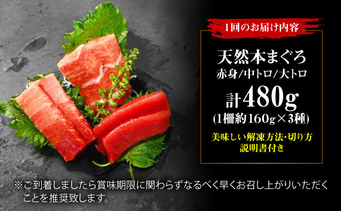 まぐろ マグロ 鮪 赤身 刺身 マグロ 鮪 赤身 トロ とろ 刺身 小分け 柵 冷凍 海鮮 新鮮 手巻き寿司 海鮮丼 パーティー