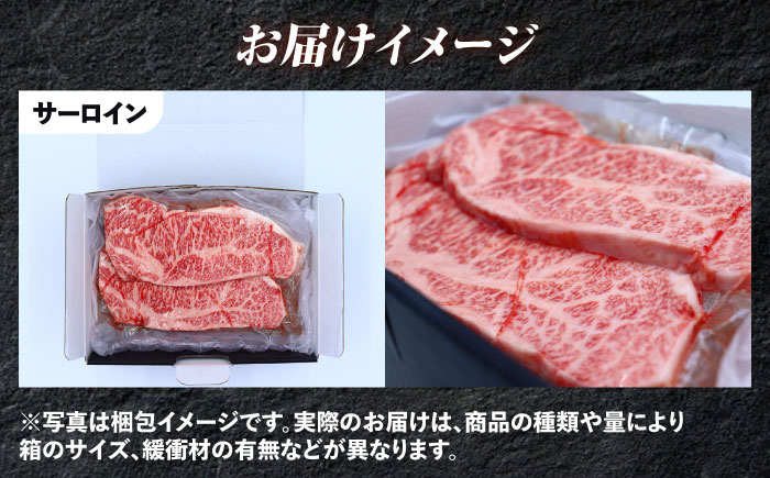 長崎和牛 バラエティ定期便 バラエティセット 牛肉 定期便 国産 サーロイン カルビ ロース しゃぶしゃぶ 牛ミンチ リブロース