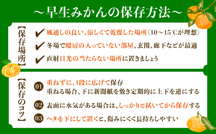 みかん ミカン 蜜柑 柑橘 柑橘類 ビタミン 果物 くだもの フルーツ