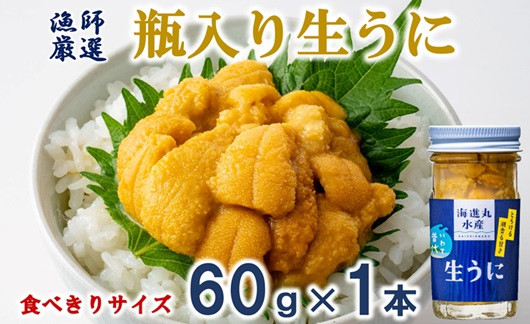 今が旬！生うに！