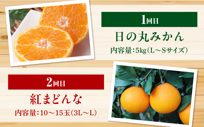 えひめかんきつ定期便