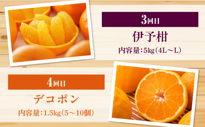 えひめかんきつ定期便