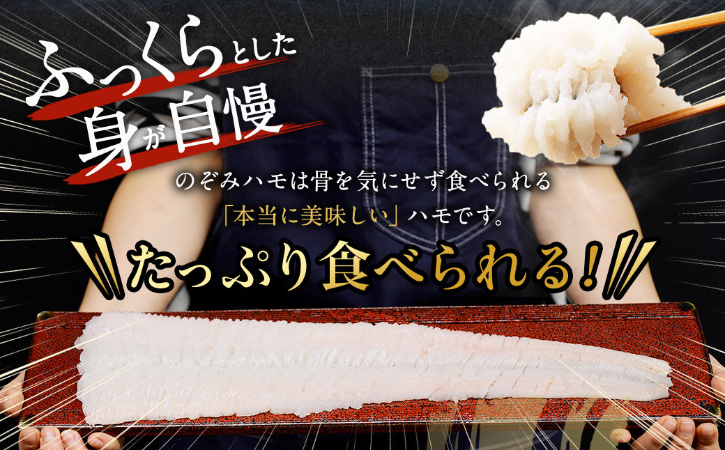 のぞみ水産 活〆 骨切り 生鱧 500g
