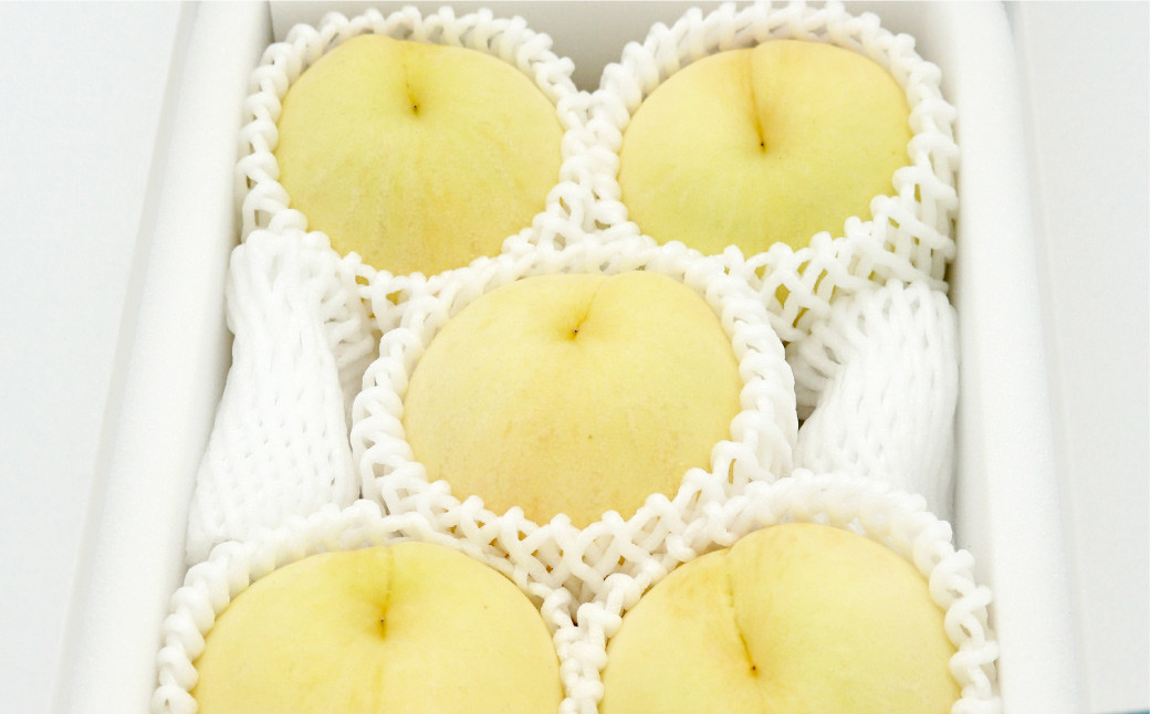 ご家庭用 岡山白桃 晩生 4～5玉  計1.2kg