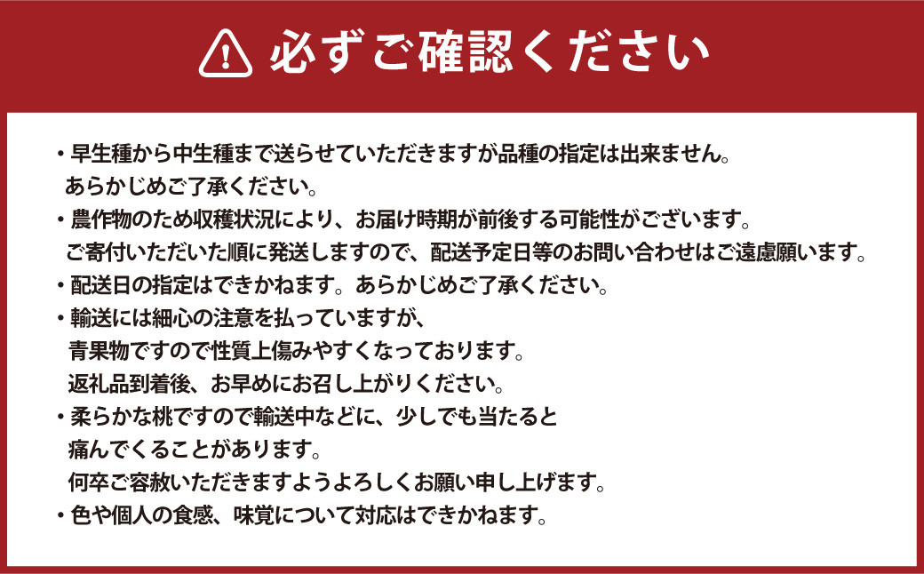 ご家庭用 岡山白桃 4～5玉  計1.2kg
