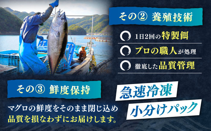  冷凍 マグロ まぐろ 中とろ 鮪 本マグロ 赤身 ねぎとろ トロ 刺身 食べ比べ 海鮮 柵 大とろ 定期便 毎月届く