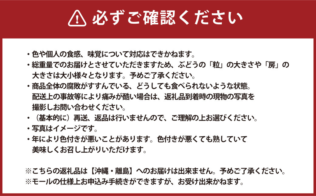 クインニーナ 2～3房 計1.1kg