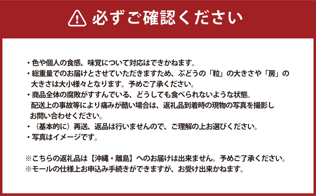 シャインマスカット 2房 計1.2kg