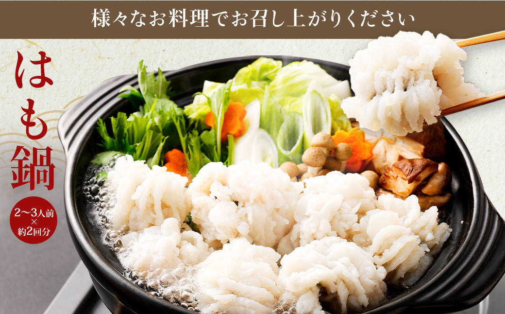 のぞみ水産 活〆 骨切り 生鱧 1kg 