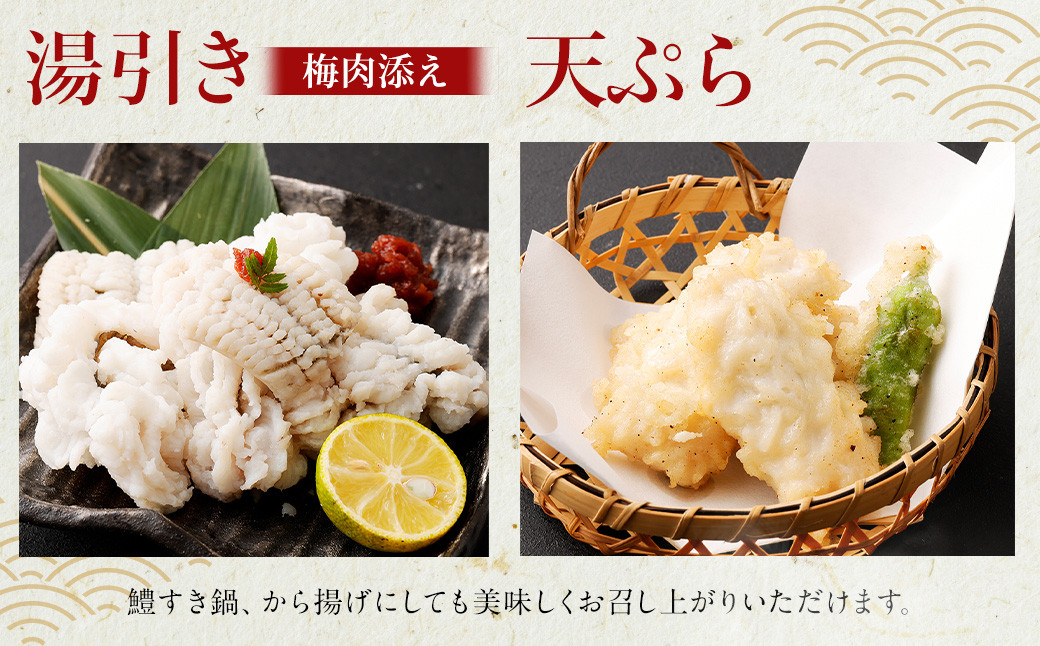 のぞみ水産 活〆 骨切り 生鱧 500g