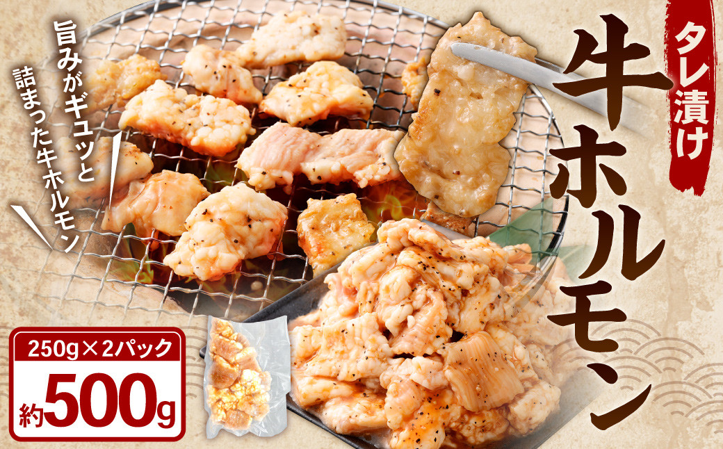 タレ漬け 牛ホルモン 250g×2パック （計500g）