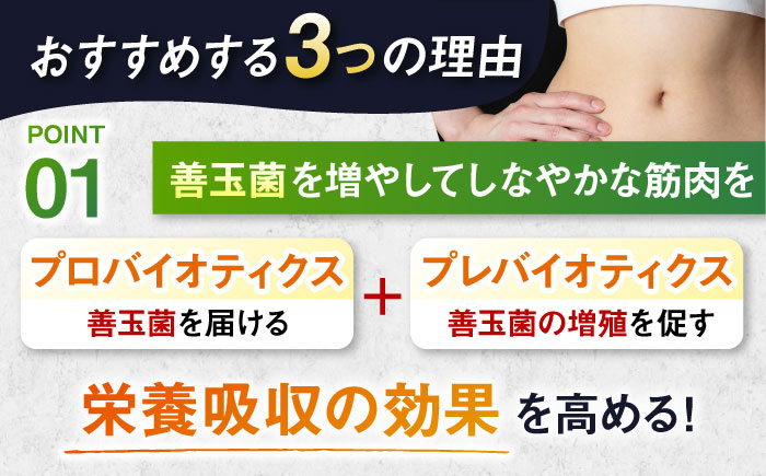 プロテイン ダイエット タンパク質 筋肉 筋トレ 運動 おいしい 飲料 人気