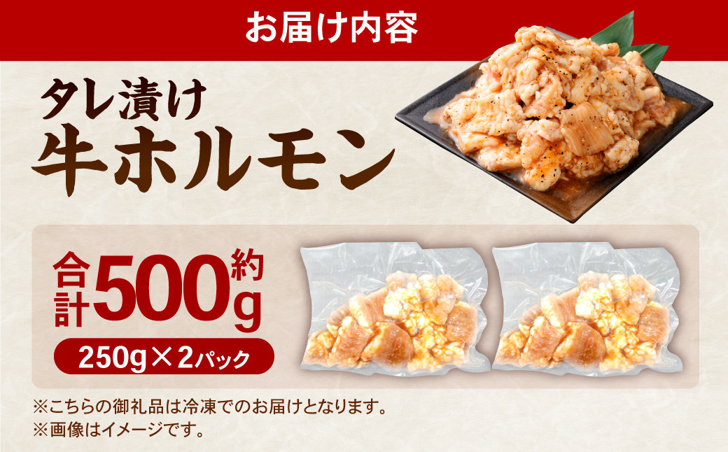 タレ漬け 牛ホルモン 250g×2パック （計500g）