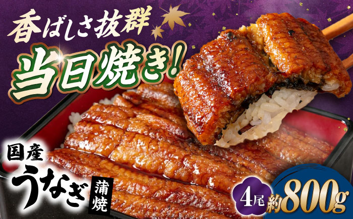 うなぎ 鰻 ウナギ 鰻蒲焼き うなぎ蒲焼き ひつまぶし うなぎ茶漬け おにぎり 国産 真空 冷凍 蒲焼 丑の日 個包装 小分け